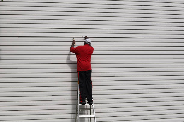 Professional Siding Installation in Davis Junction, IL