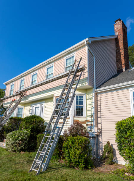 Best Historical Building Siding Restoration  in Davis Junction, IL